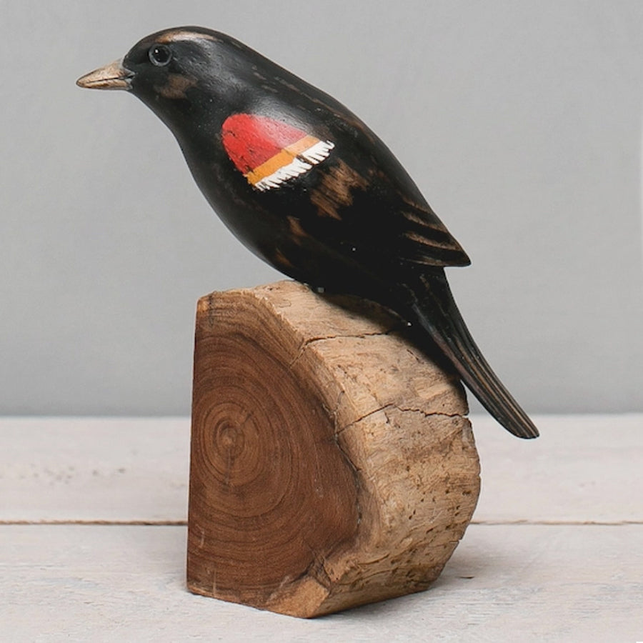 Red Winged Blackbird