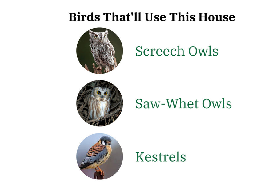 Cedar Screech Owl Nesting Box