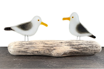 Herring Gulls, Perched Adult Pair
