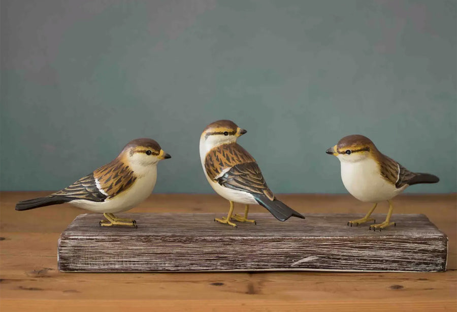 Sparrow Trio