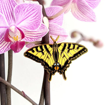 Swallowtail Butterfly Pin