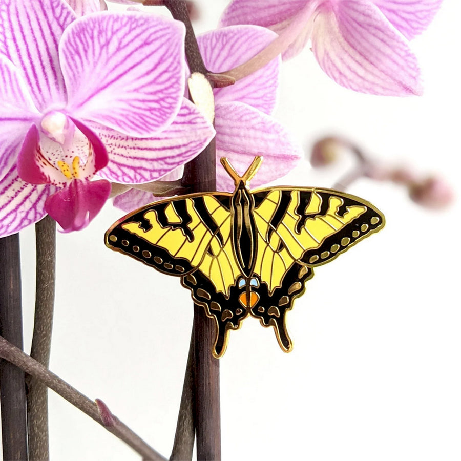 Swallowtail Butterfly Pin