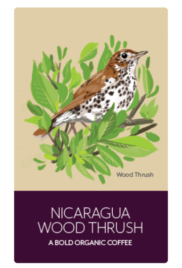 Nicaragua Wood Thrush