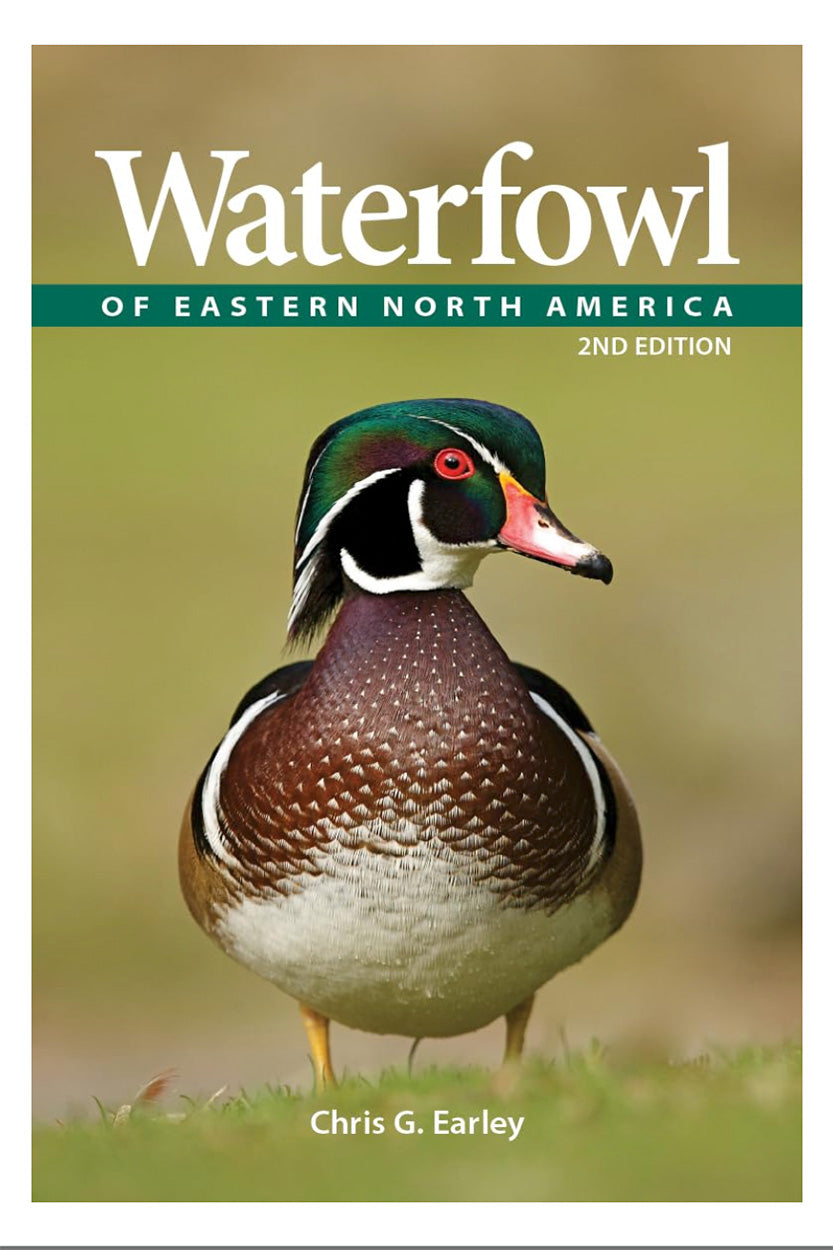 Waterfowl of Eastern North America