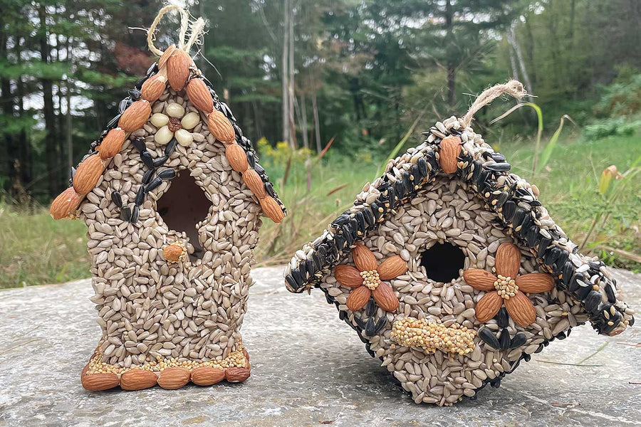 Seed Birdhouses