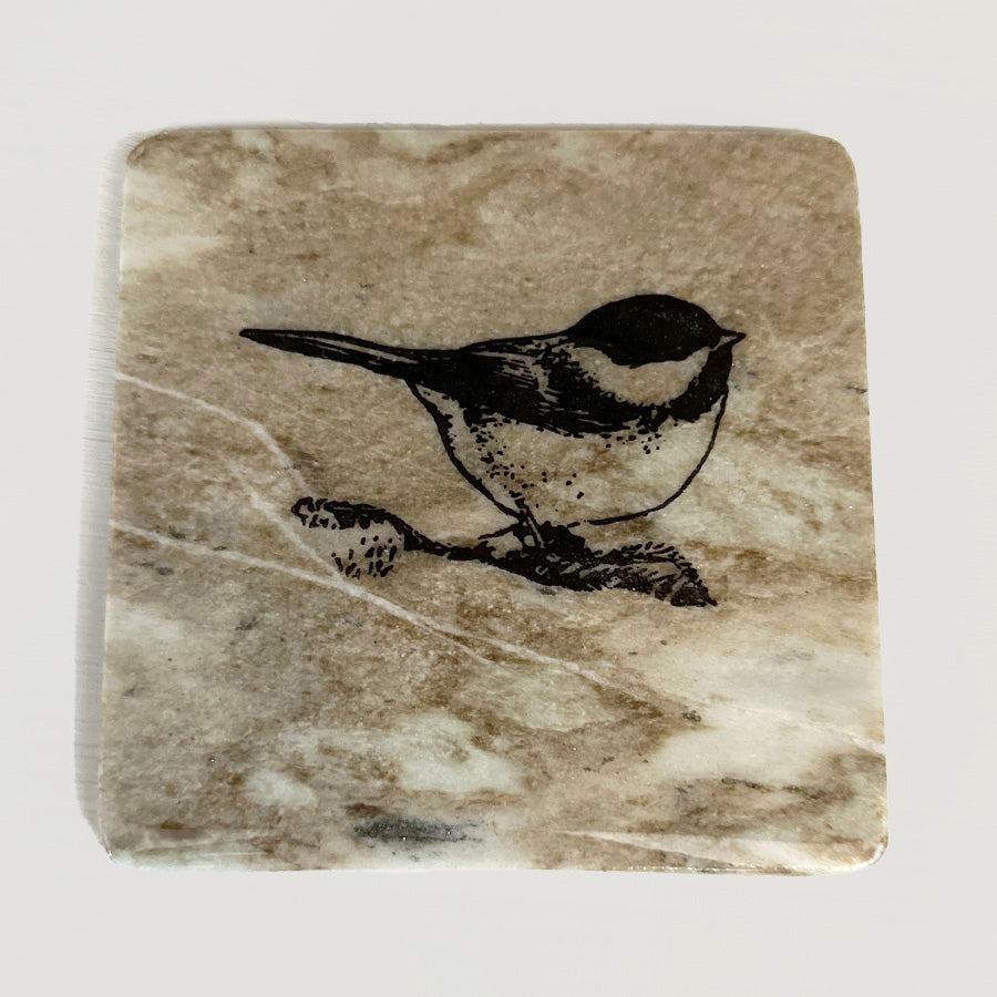 Black-capped Chickadee - Exclusive