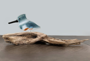 Perched Kingfisher