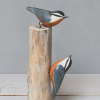 Red-breasted Nuthatch pair