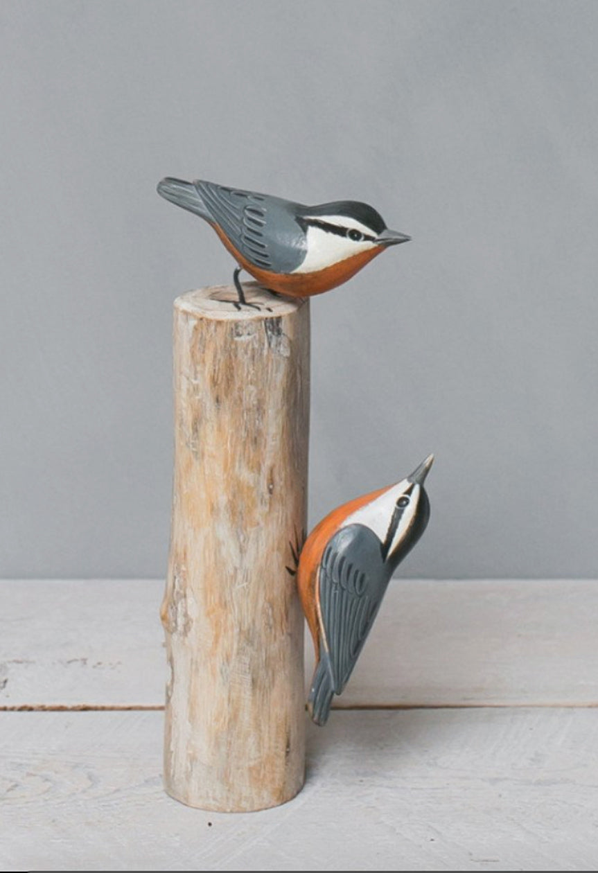 Red-breasted Nuthatch pair