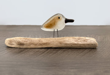 Perched Sandpiper